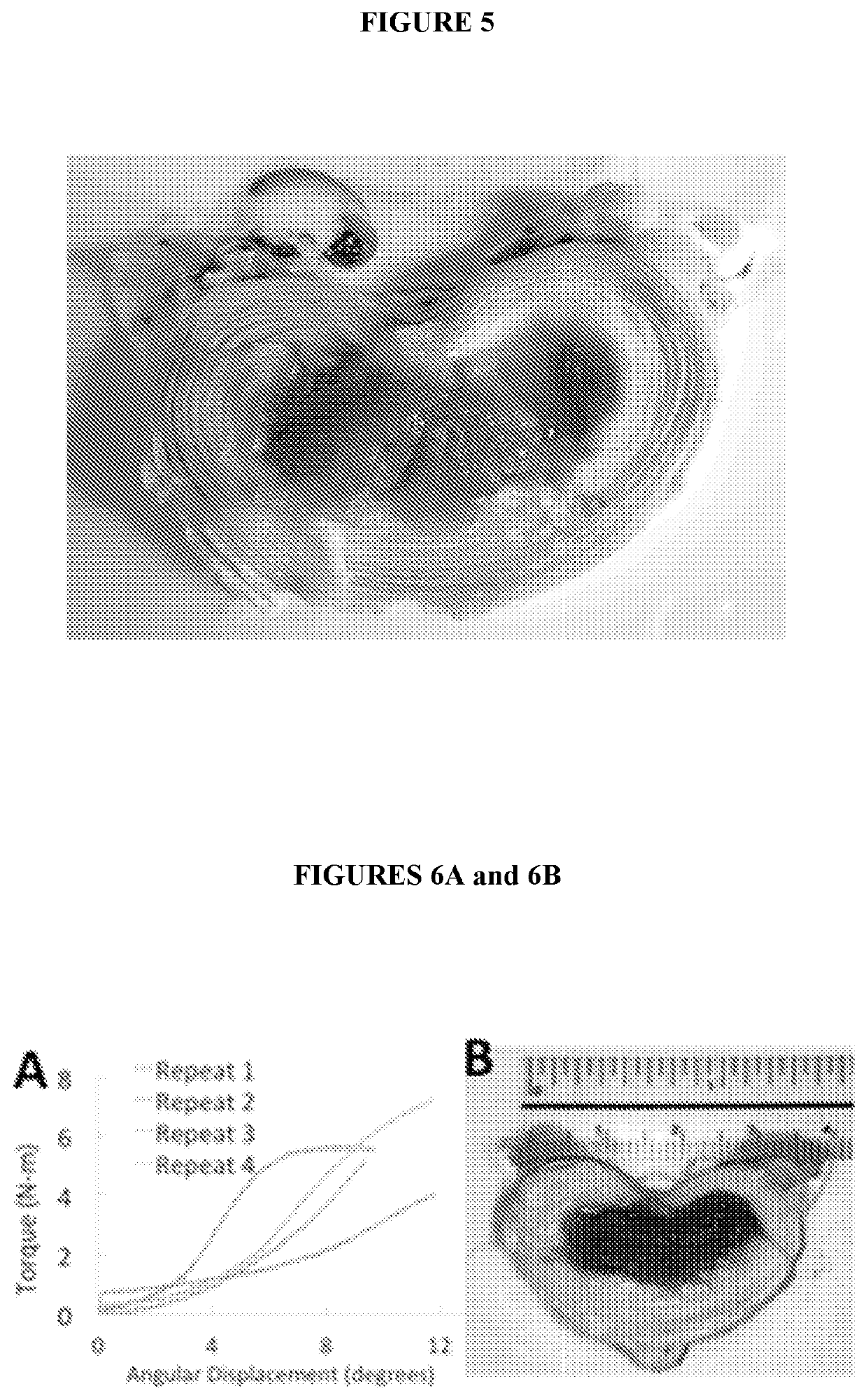 Methods and compositions for inducing multi-targeted healing of intervertebral disc defects