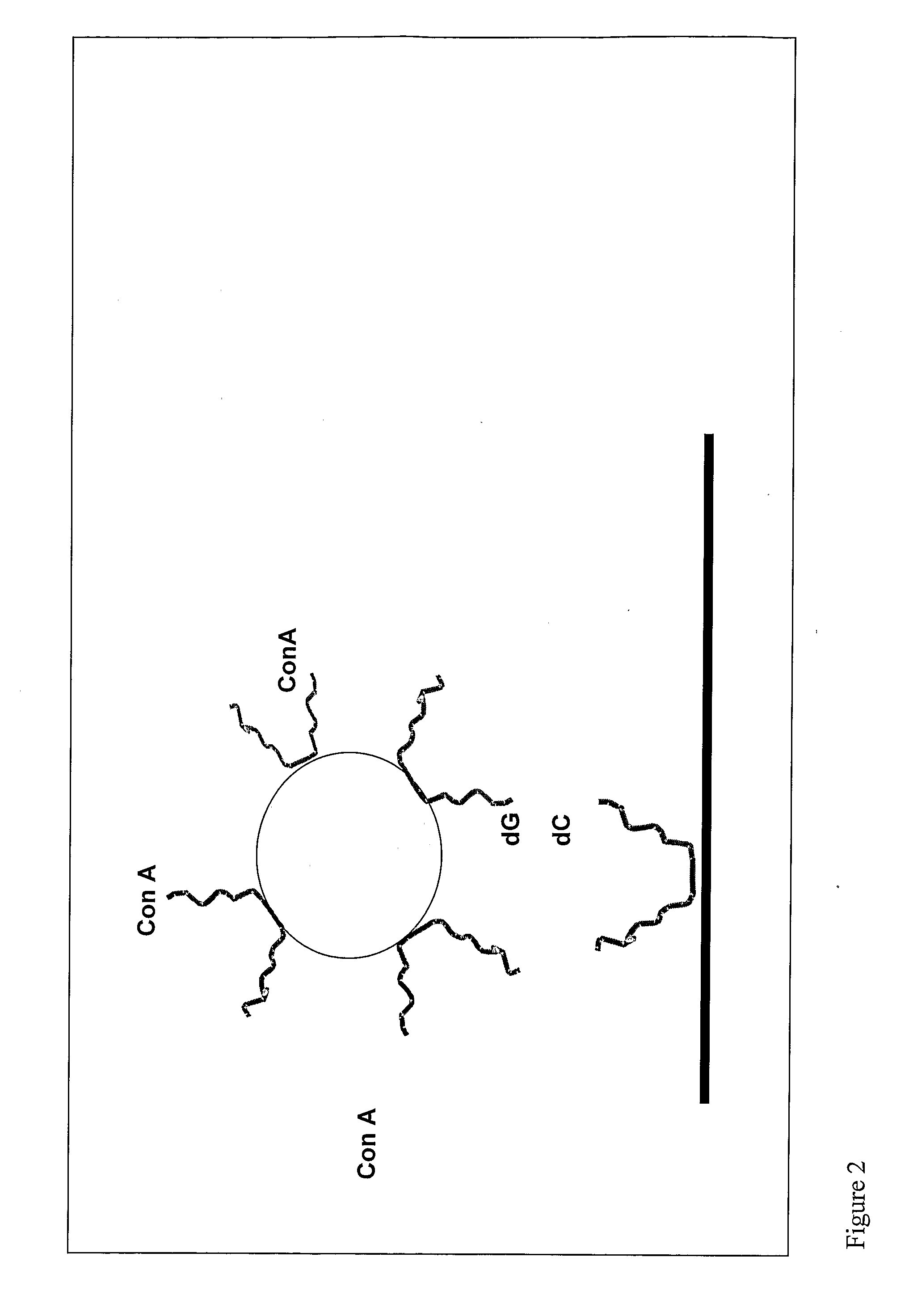 Device and Method for Protein Analysis