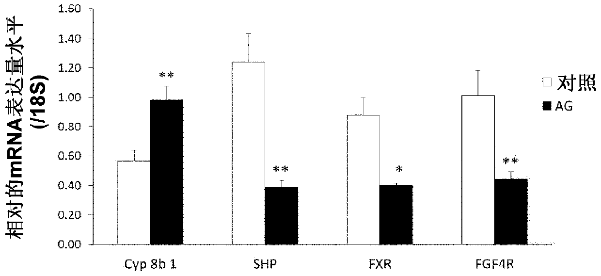 Bile acid synthesis promoter, composition for promoting bile acid synthesis and food composition for promoting bile acid synthesis