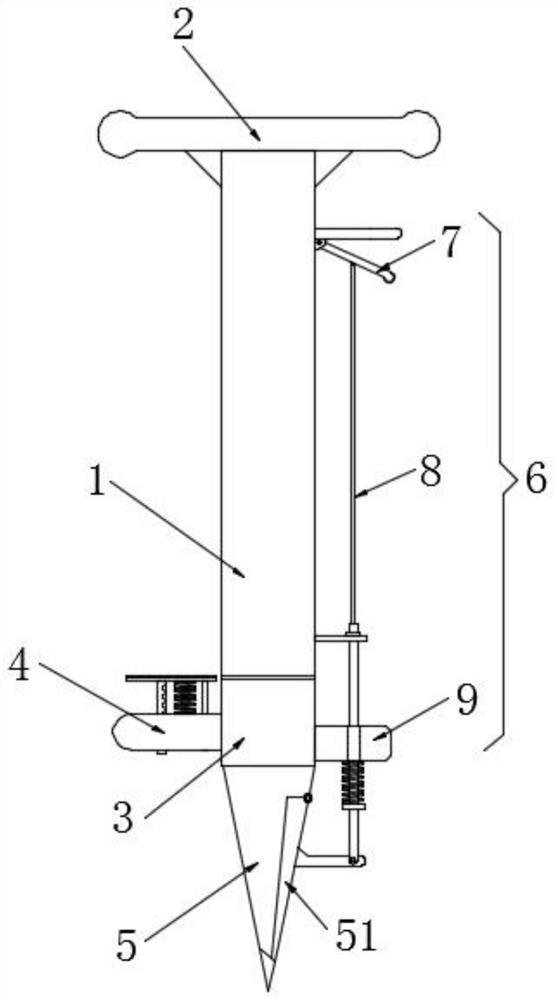 A fertilization device for planting and maintaining camellia oleifera