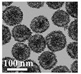 Preparation method of palladium in-situ modified copper-cobalt doped cerium dioxide nanospheres