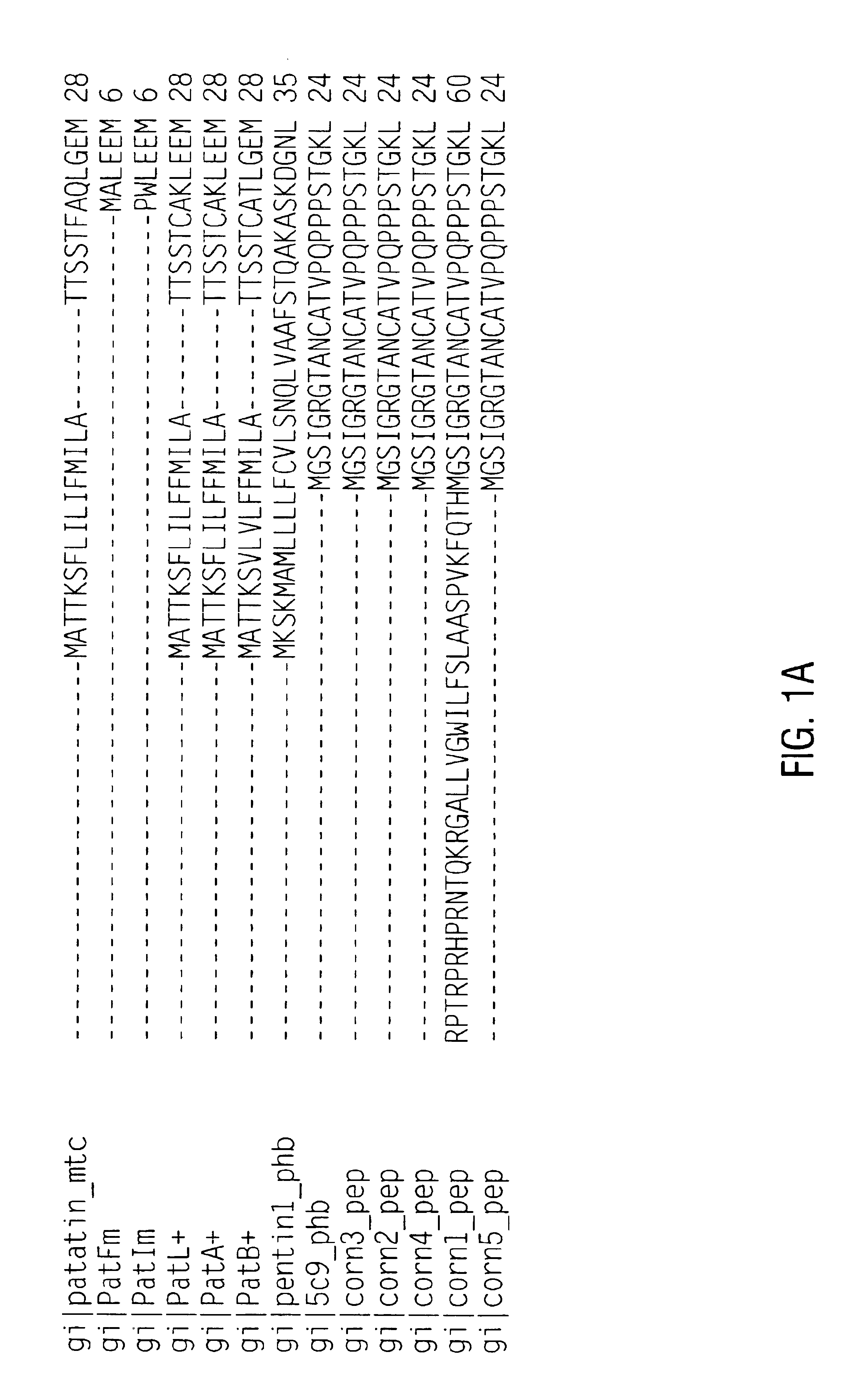 Preparation of deallergenized proteins and permuteins