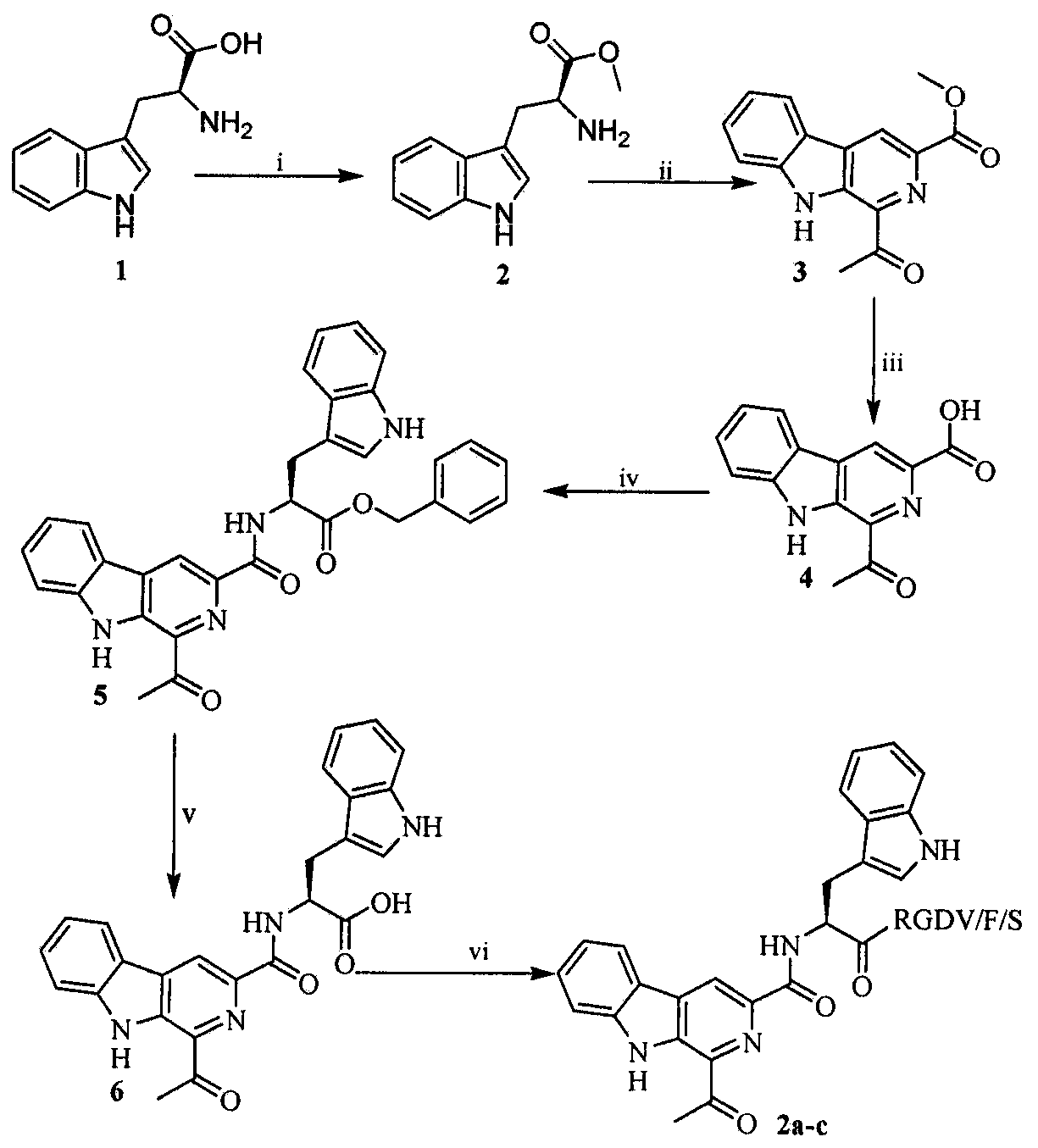 RGD tetrapeptide-modified β-carbolinoyl-tryptophan, its preparation, nanostructure, activity and application