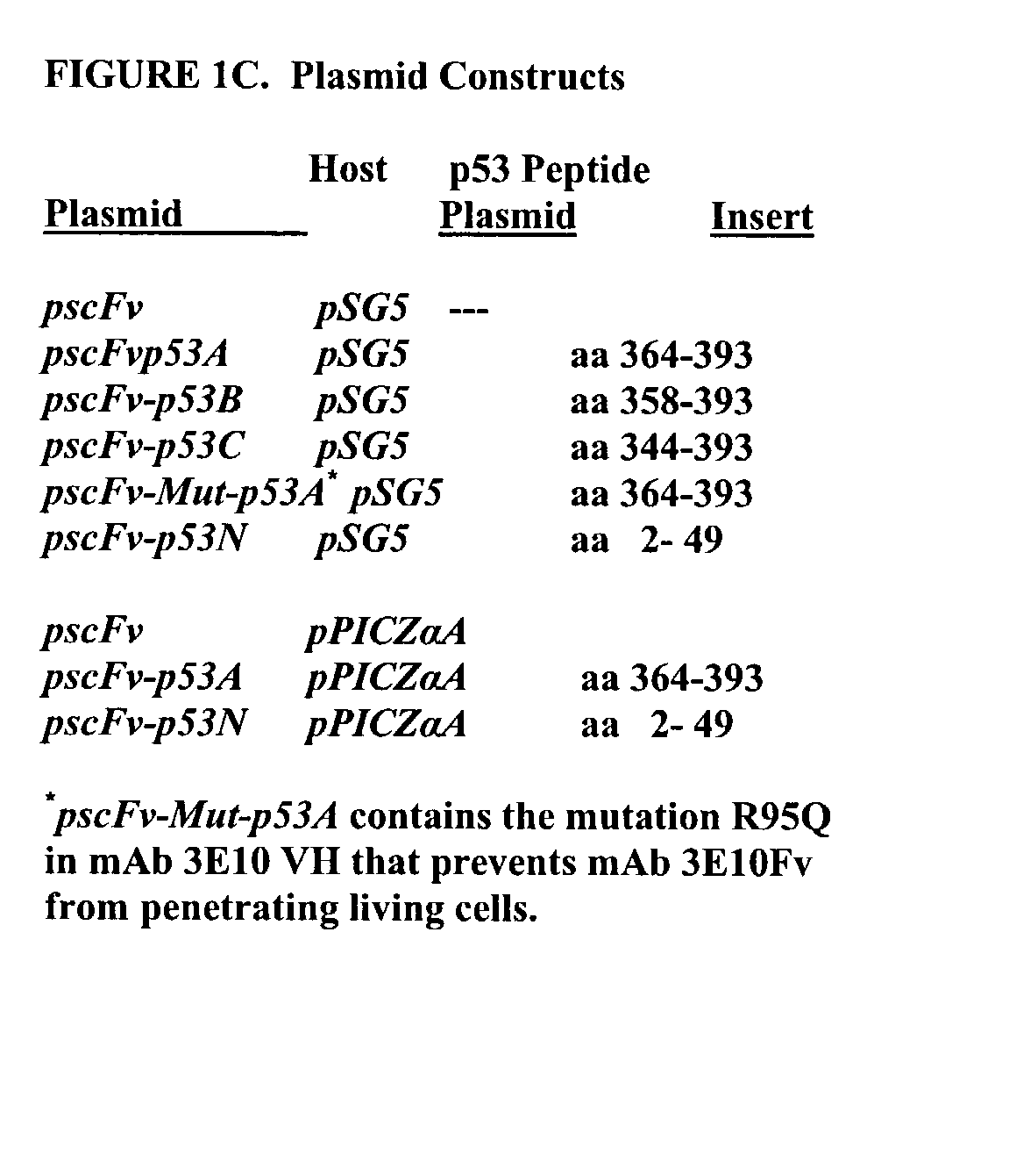 Delivery system using mAb 3E10 and mutants and/or functional fragments thereof