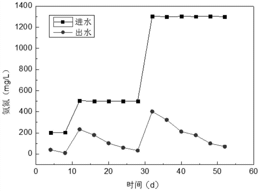 A kind of reactor and quick start method for quickly starting anaerobic ammonium oxidation coupled nitrosation reaction