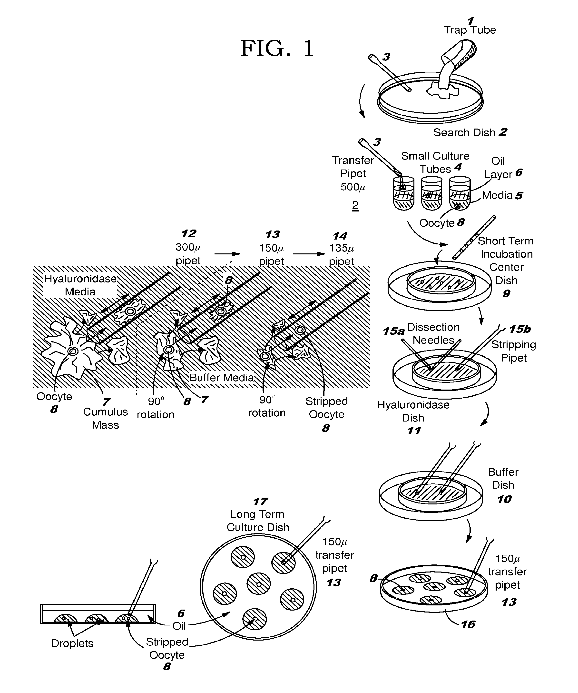 Microfluidic embryo and gamete culture systems