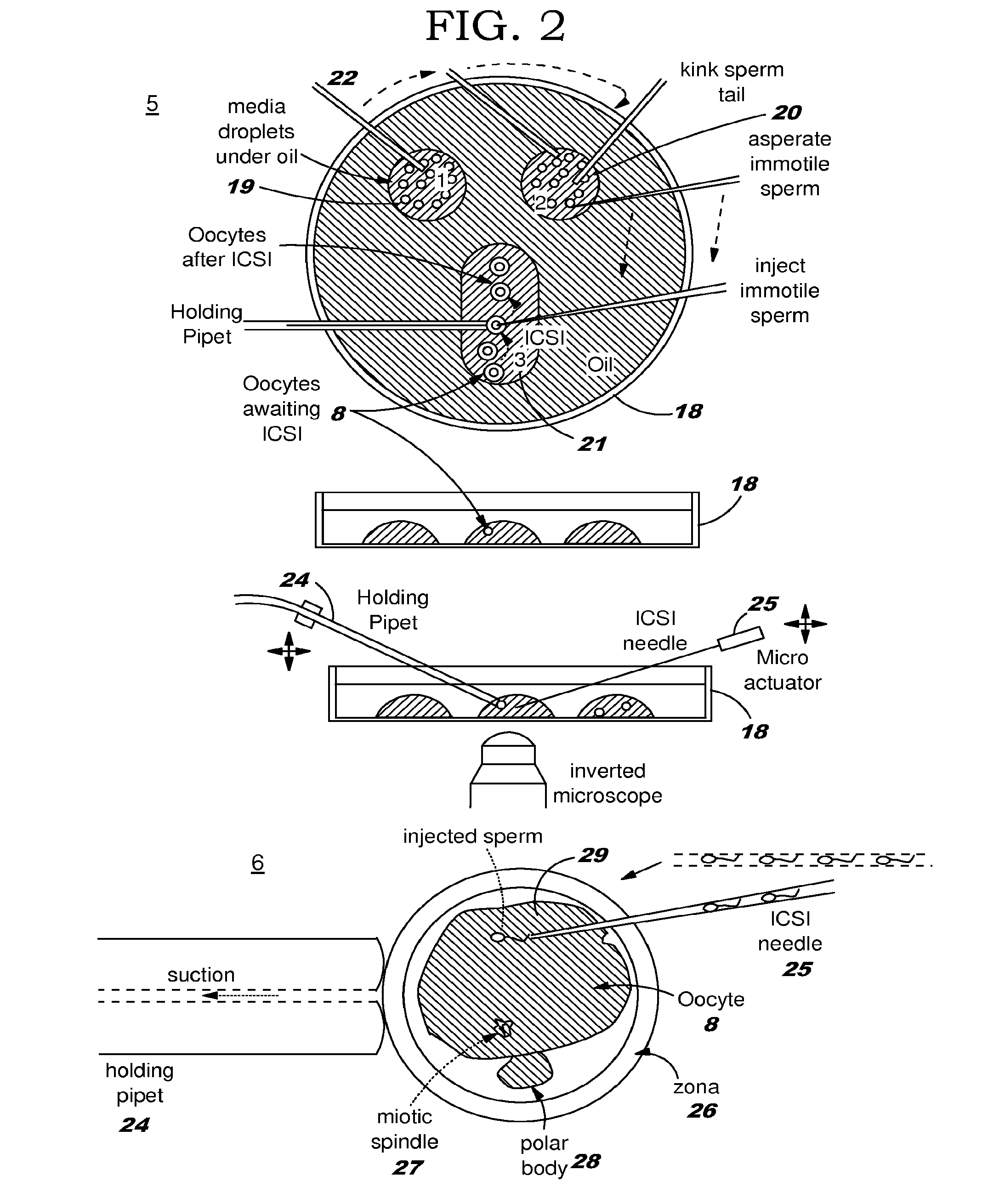 Microfluidic embryo and gamete culture systems