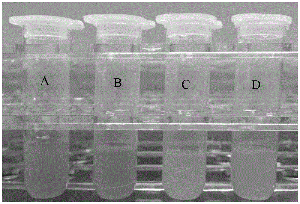 C3N4 nanocomposite, preparation method and application of C3N4 nanocomposite