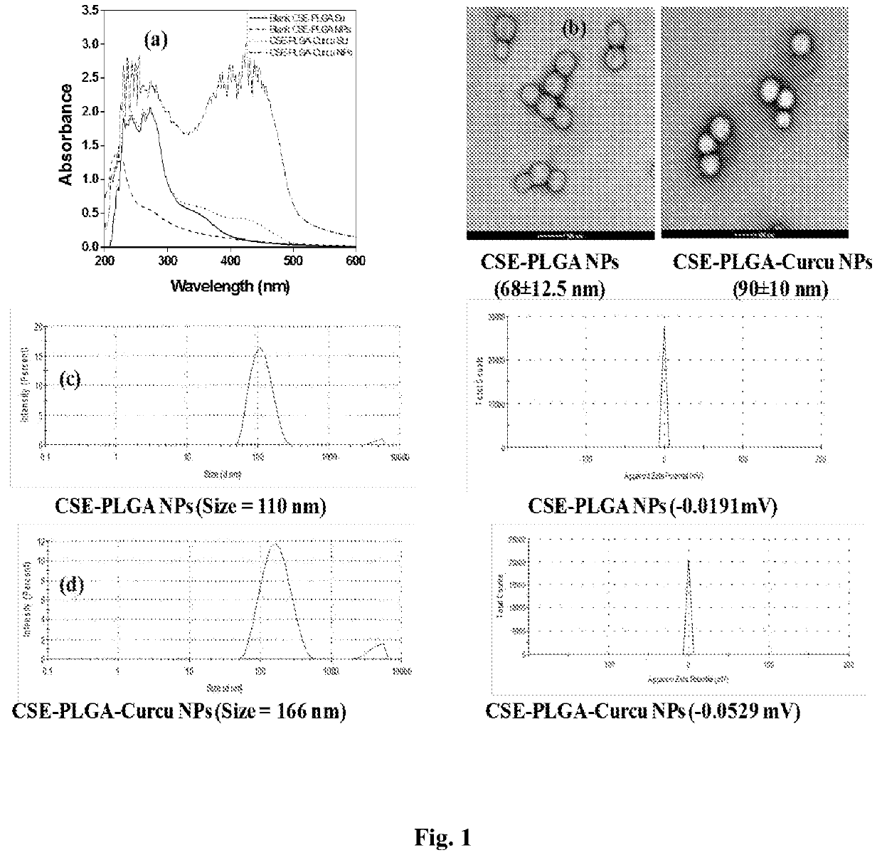 A curcumin loaded stabilized polymeric nanoparticles with increased solubility and photo-stability and a green process for the synthesis thereof