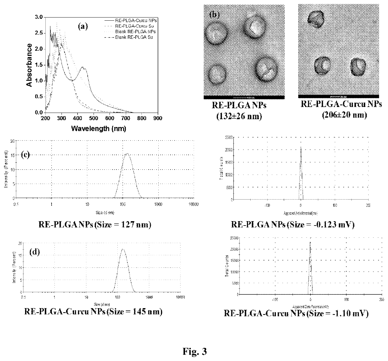A curcumin loaded stabilized polymeric nanoparticles with increased solubility and photo-stability and a green process for the synthesis thereof