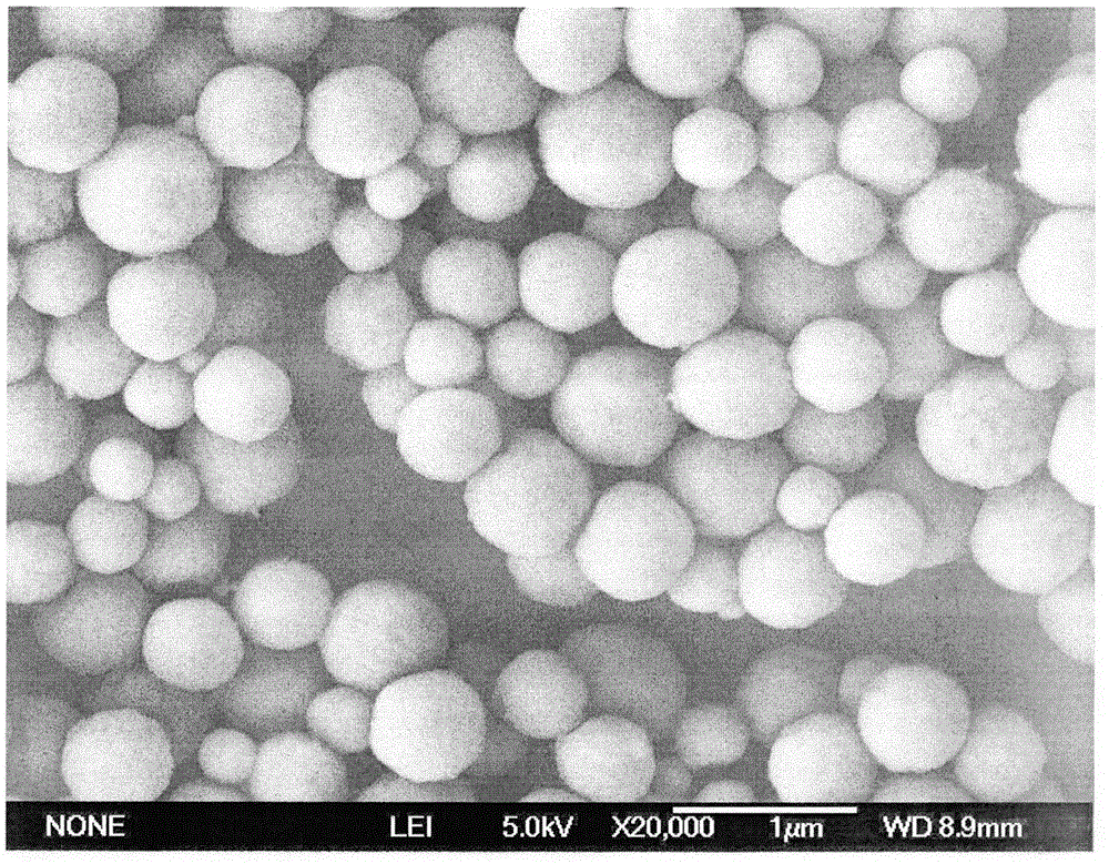 Novel micro-nanometer grade fish oil/algae oil microcapsule and preparation process thereof