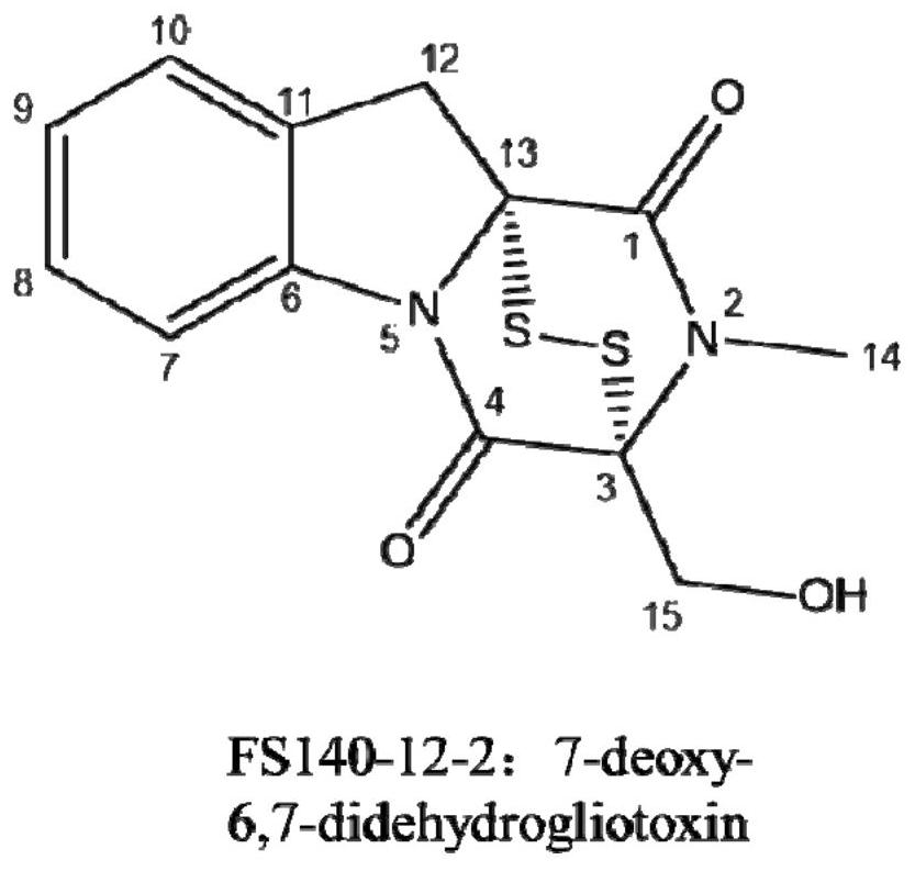 Application of gliotoxin-resistant self-protection gene glik in assisting host cells to resist gliotoxin