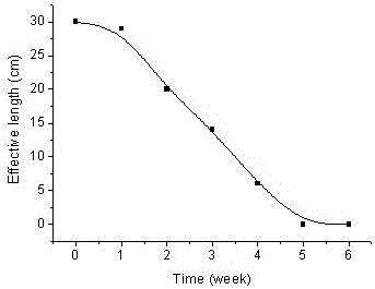 Gradient degradable polymer material and preparation method thereof