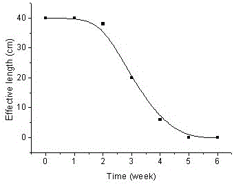 Gradient degradable polymer material and preparation method thereof