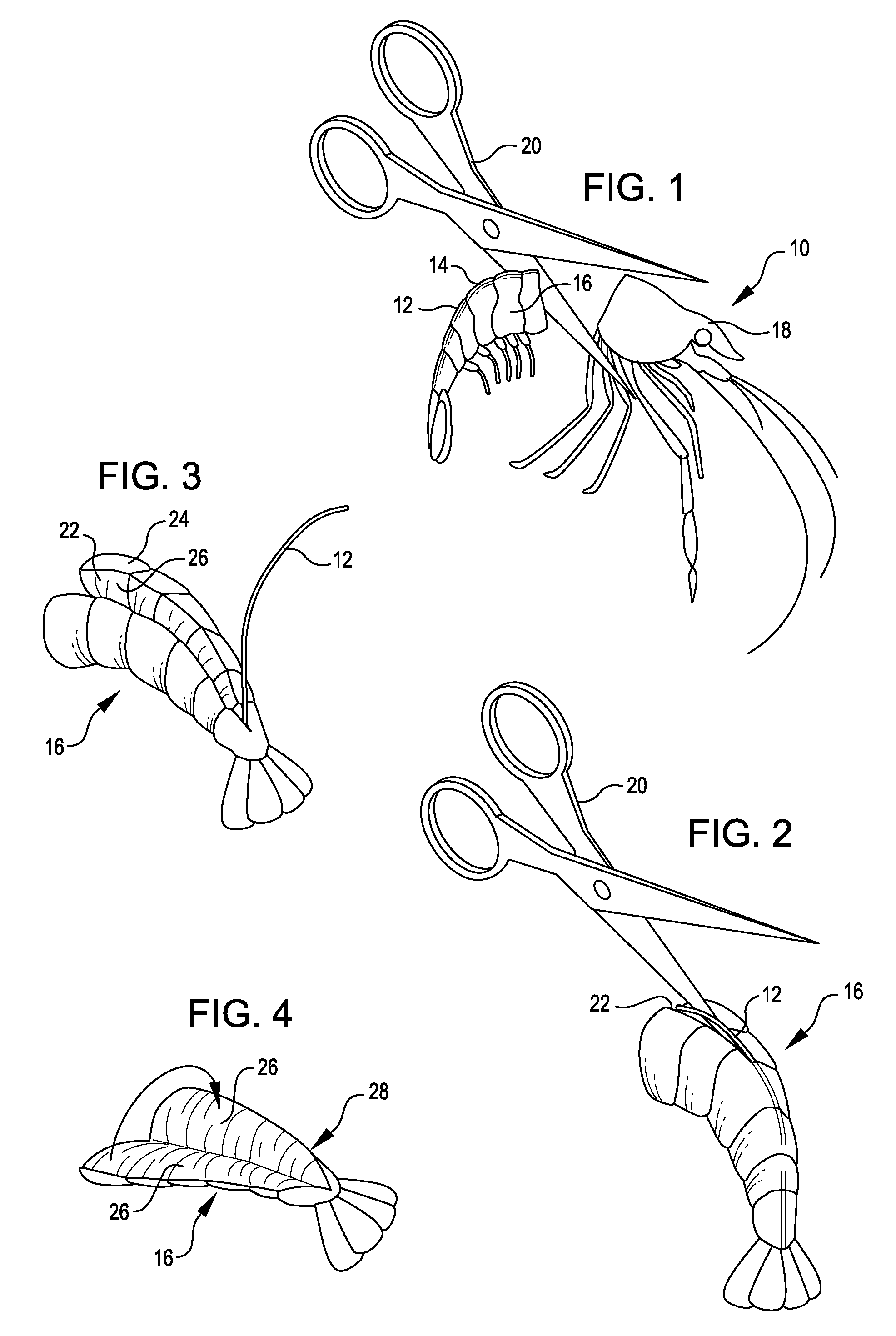 Freshwater Shrimp And Method Of Preparing Same For Packaging, Sale And Consumption