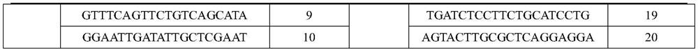 Reagent kit for detecting CD45 gene expression