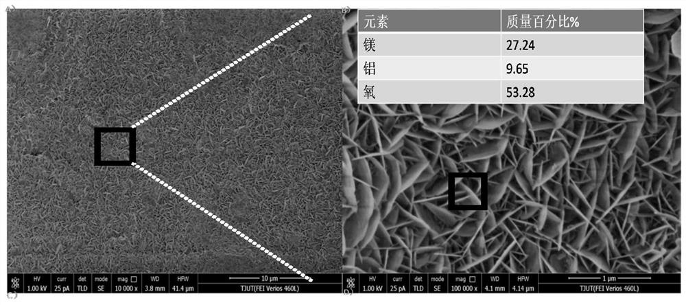 A bisphosphonate drug-intercalated hydrotalcite medical magnesium alloy coating and its preparation method and application