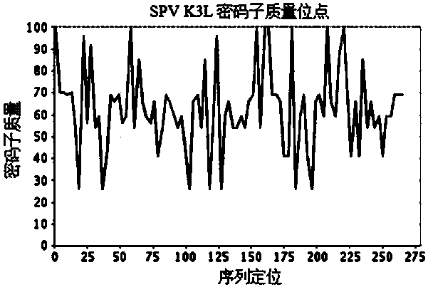 Monoclonal antibody against c-terminus of sheeppox virus k3l protein and its application