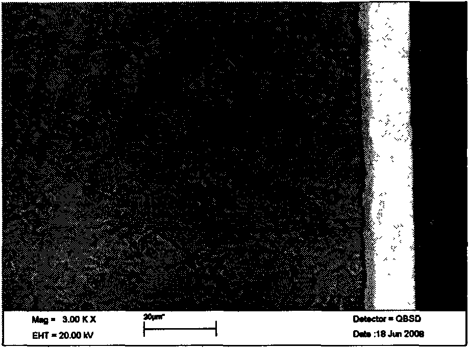 Method using ion nitriding technology to prepare solar energy absorbing coating