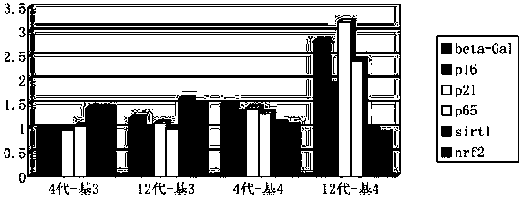 A non-differentiation expansion anti-aging medium for human umbilical cord/adipose mesenchymal stem cells