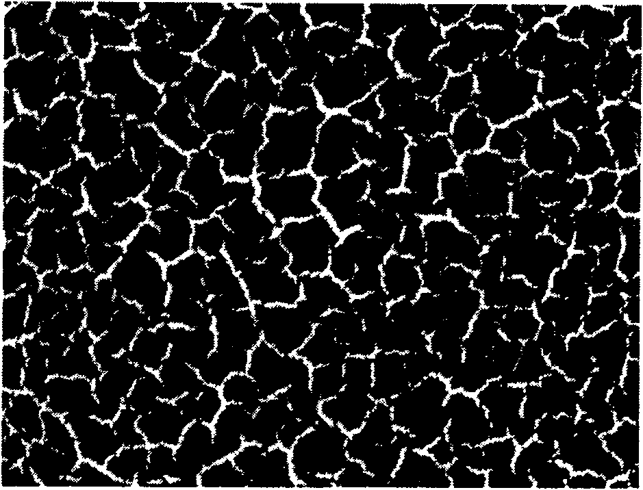 Method for spray coating of crackle lacquer