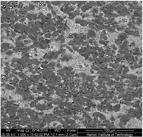 Preparation method of beta-gamma TiAl alloy sheet containing fine lath-like γ-recrystallized structure