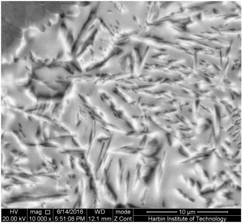 Preparation method of beta-gamma TiAl alloy sheet containing fine lath-like γ-recrystallized structure