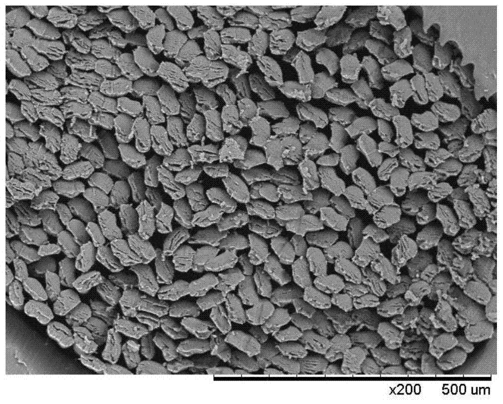 A method for preparing curcumin-loaded polyacrylonitrile fiber by dope dyeing method