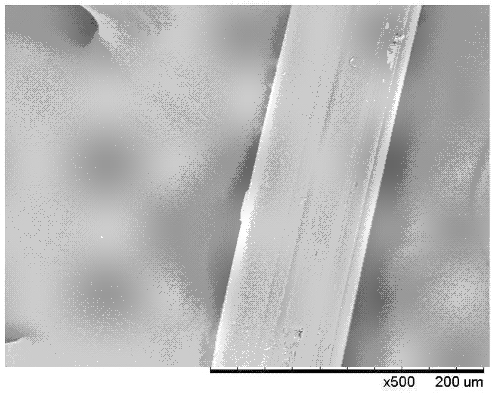 A method for preparing curcumin-loaded polyacrylonitrile fiber by dope dyeing method