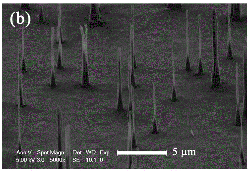 Diamond nano needle array composite material and preparation method and application thereof