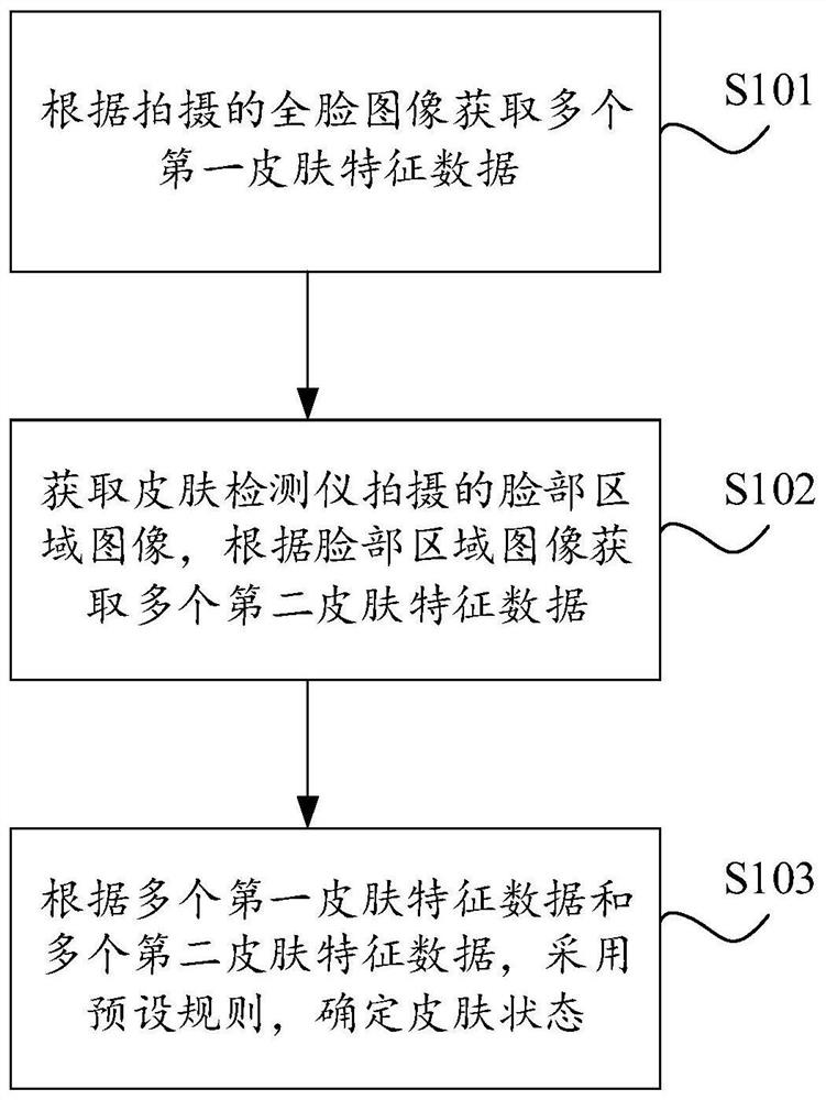 Skin state detection method, device, equipment and storage medium