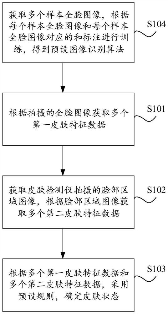 Skin state detection method, device, equipment and storage medium