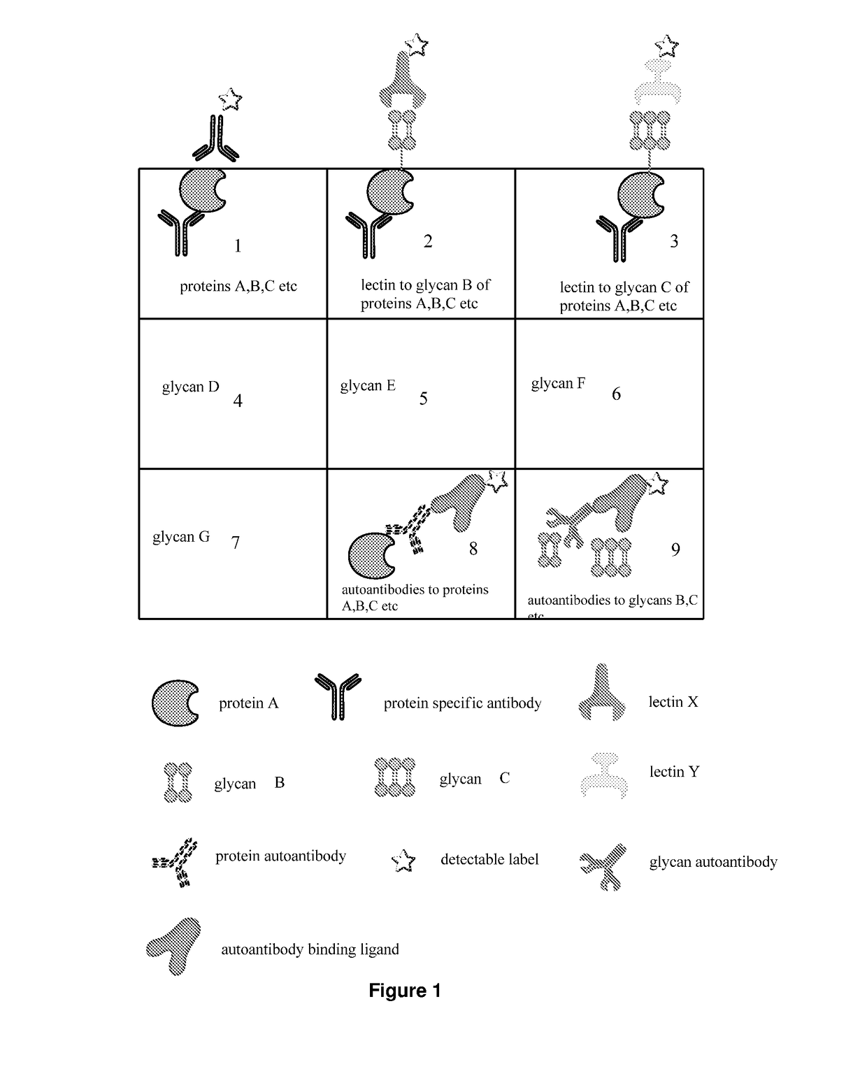 Determination of glycosylation signature