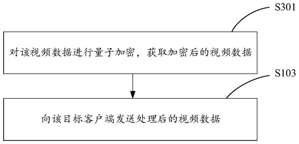 Video conference data processing method and device