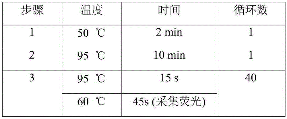 Kit and method for warfarin medicine gene mutation site detection