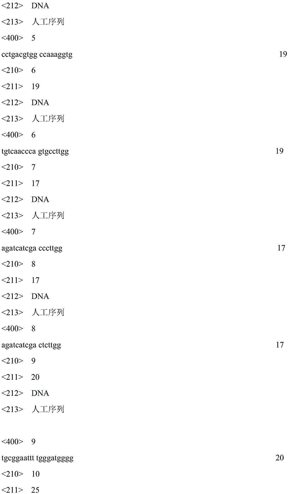 Kit and method for warfarin medicine gene mutation site detection