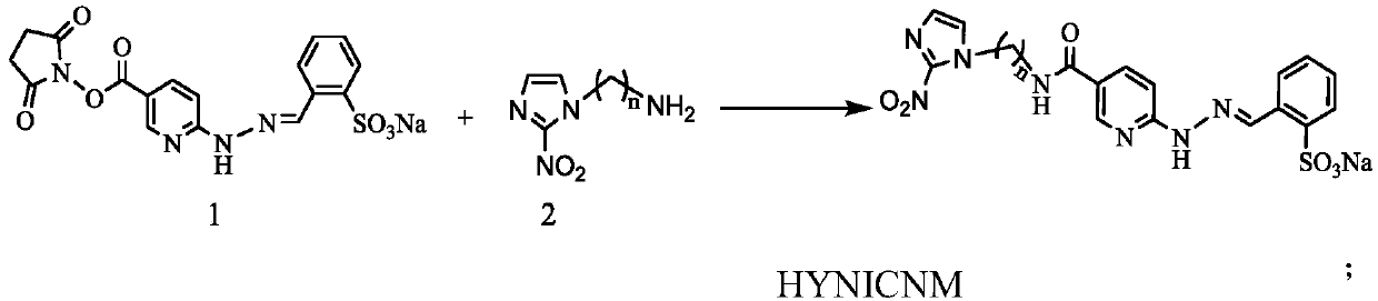 Technetium-99m labeled 2-nitroimidazole complex containing hydrazinyl nicotinamide group and preparation method and application of technetium-99m labeled 2-nitroimidazole complex