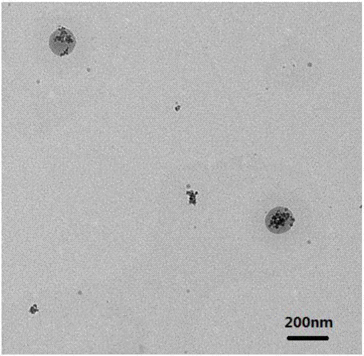 Fe3O4/octreotide modified nano-liposome and preparing method thereof