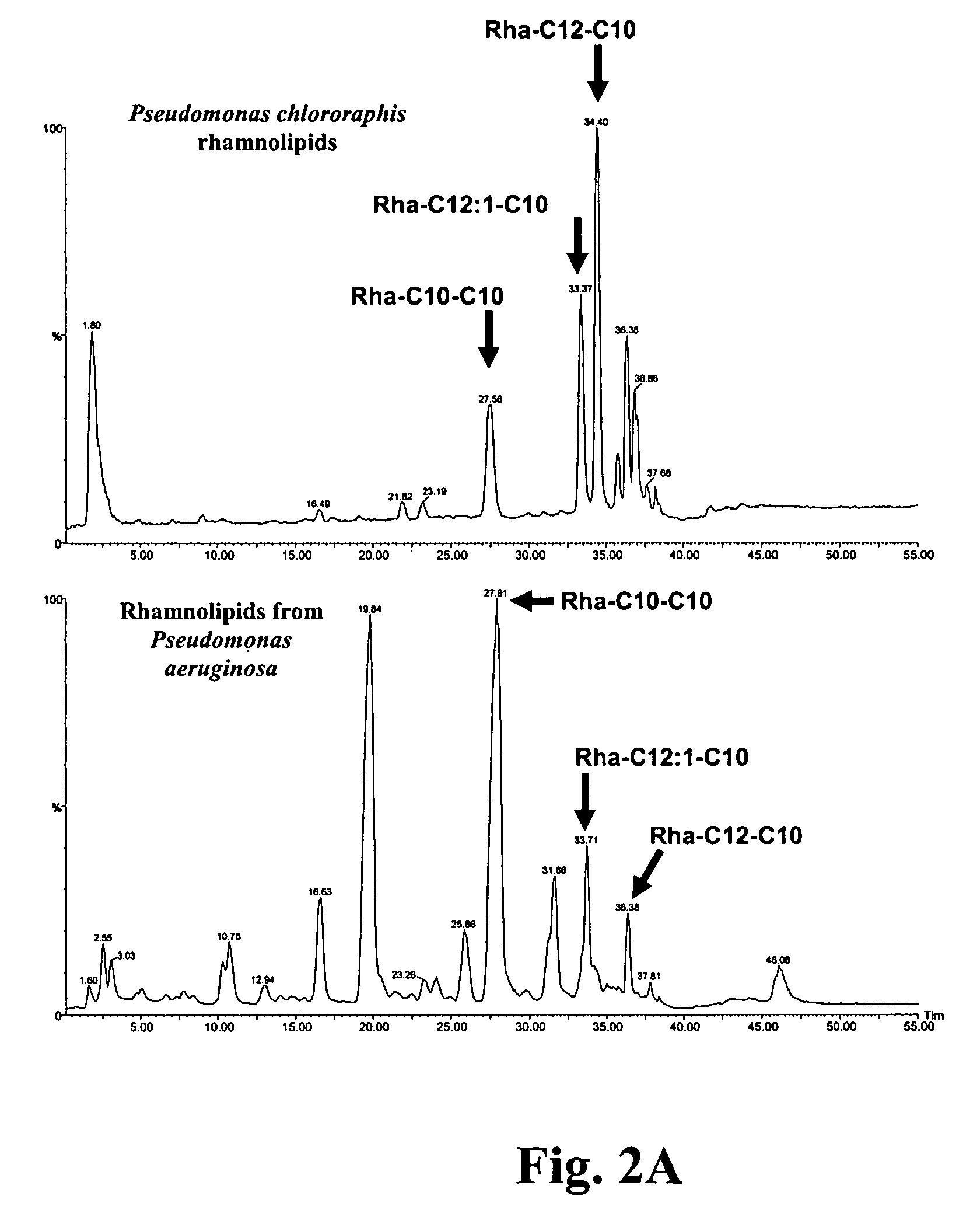 Processes for the production of rhamnolipids