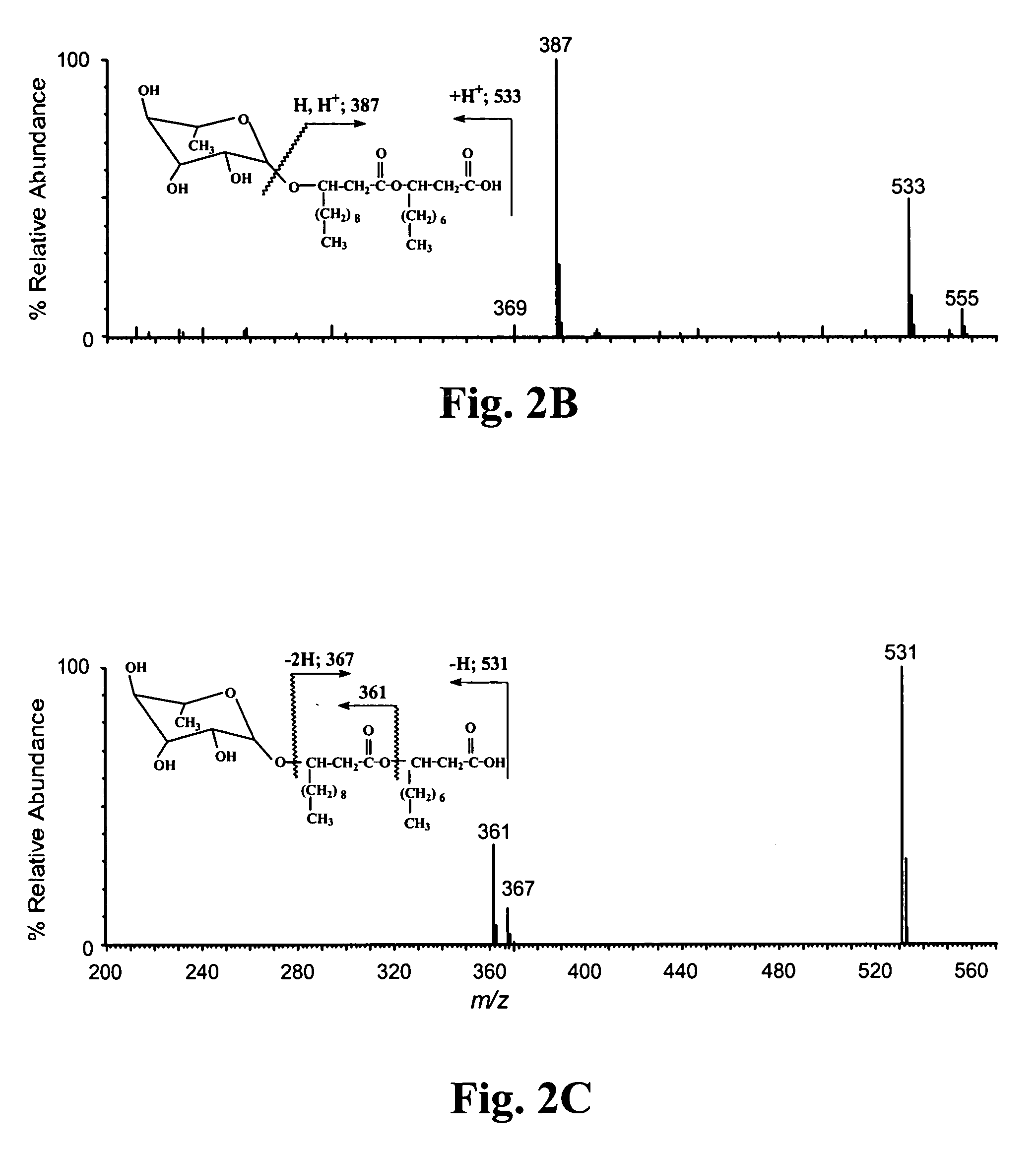 Processes for the production of rhamnolipids