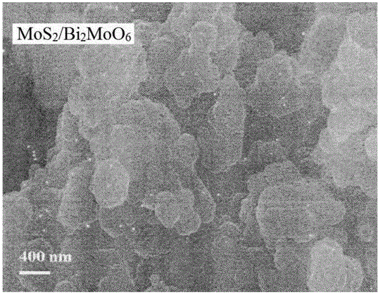 Preparation method of layered MoS2-Bi2MoO6 nanocomposite