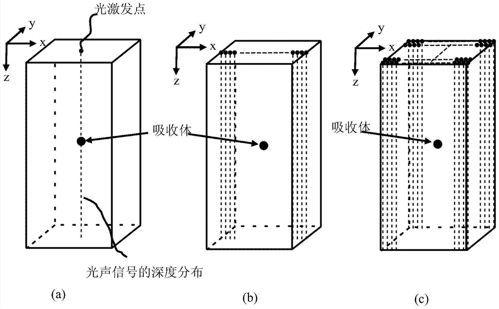 A quantitative detection device for port wine stain blood vessels based on photoacoustic microscopy