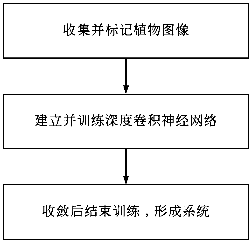 Plant recognition method based on deep learning and plant classification