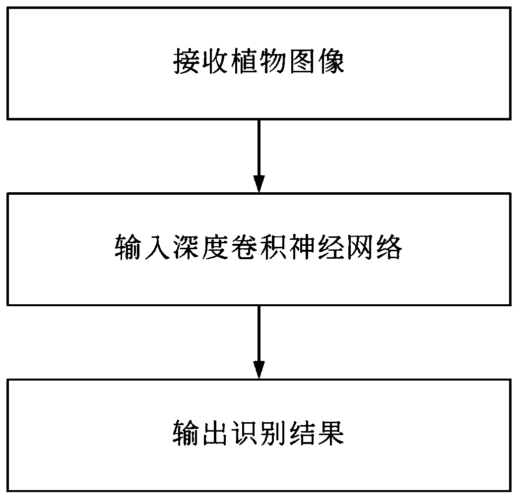 Plant recognition method based on deep learning and plant classification