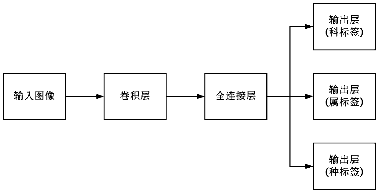 Plant recognition method based on deep learning and plant classification