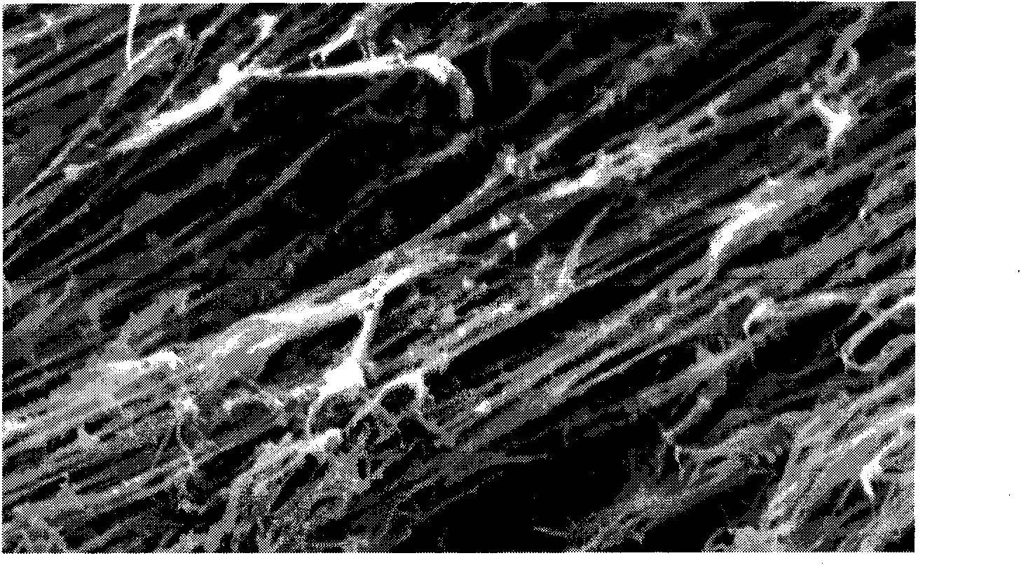 Directional orifice oxide material and preparation method thereof