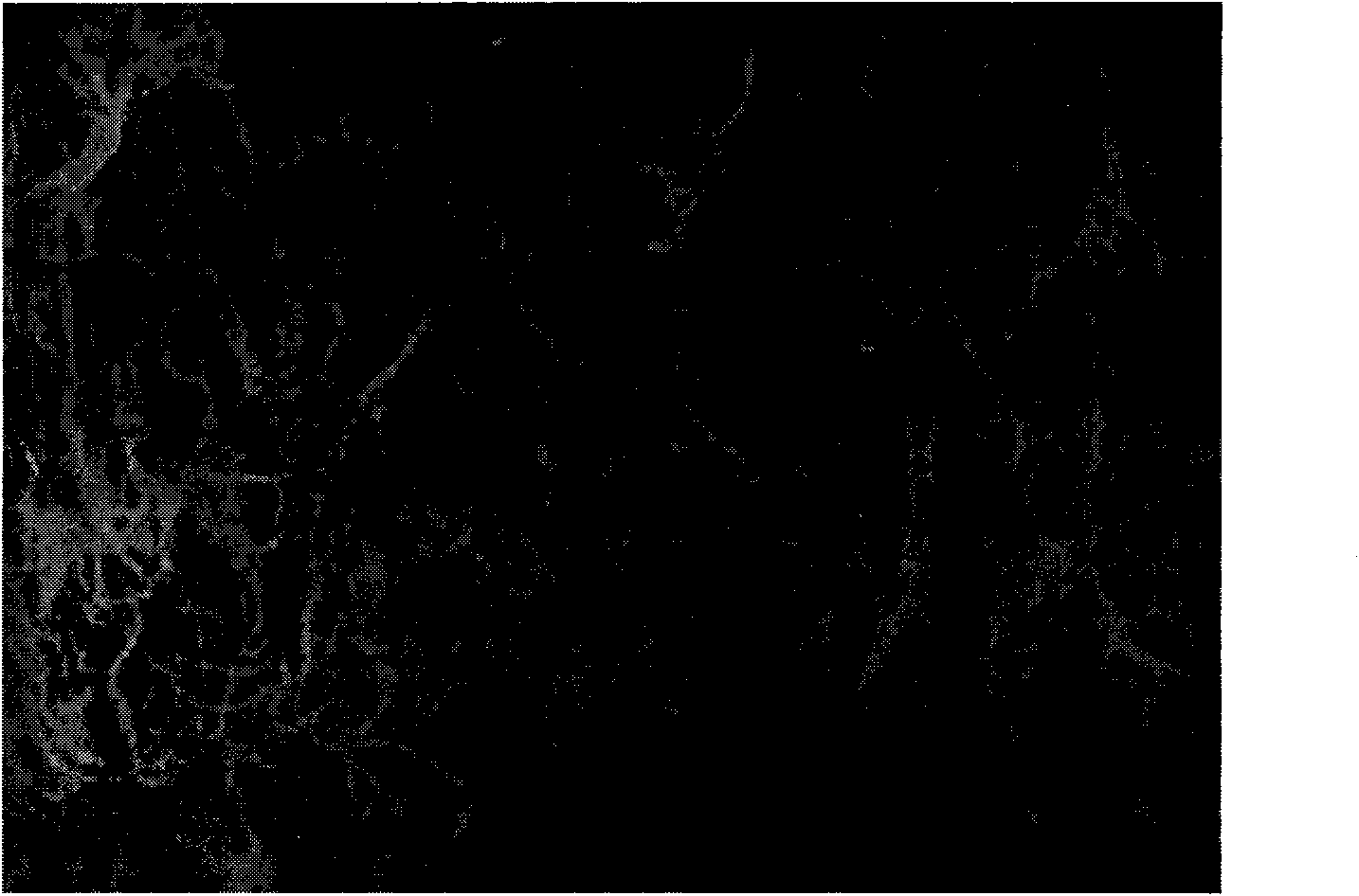 Directional orifice oxide material and preparation method thereof