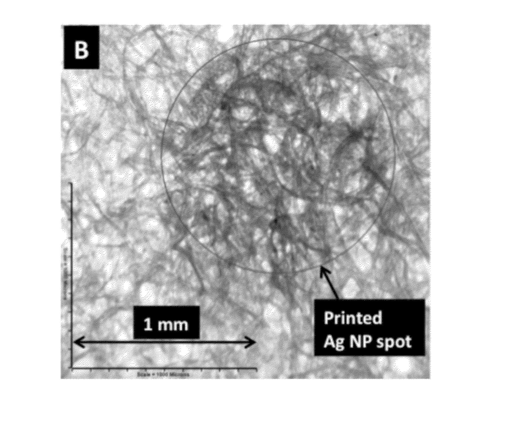 Porous SERS Analytical Devices and Methods of Detecting a Target Analyte