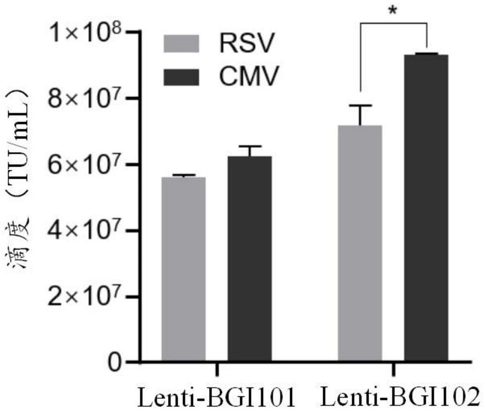 Recombinant lentivirus vector for treating beta-globulin afunction, preparation method and application