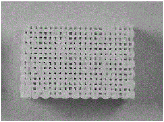 Biocomposite and preparation method thereof